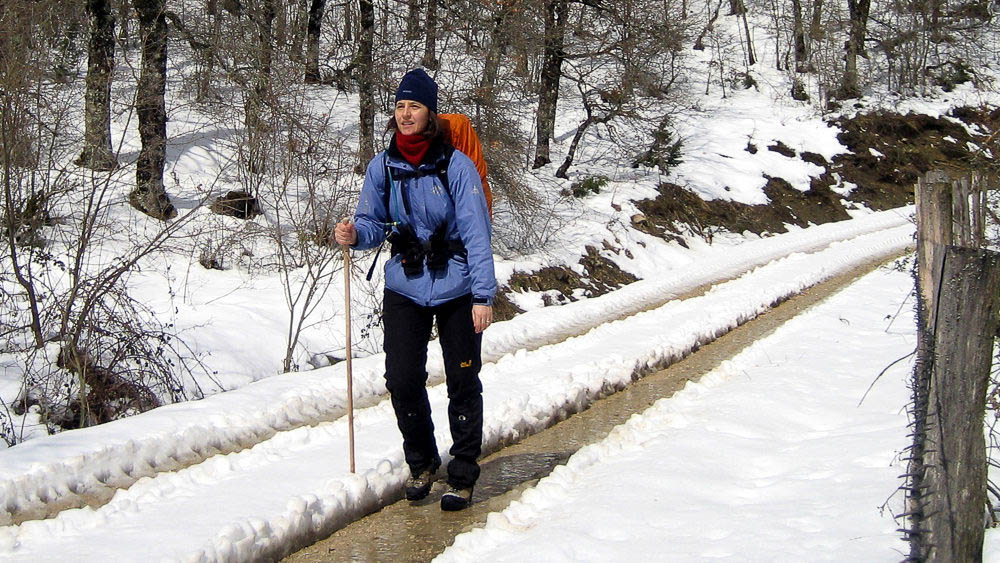 Beate Steger in voller Wintermontur mit Stock auf schneereichem Jakobsweg in den Pyrenaen
