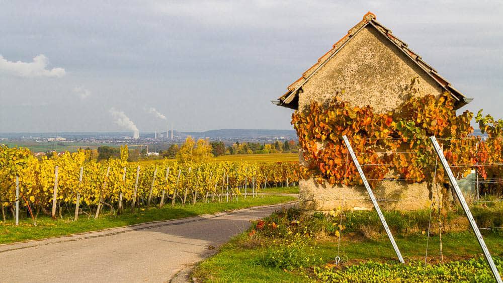 Kleines Häuschen und Weinberge in Herbstfarben in der Nähe von Heilbronn