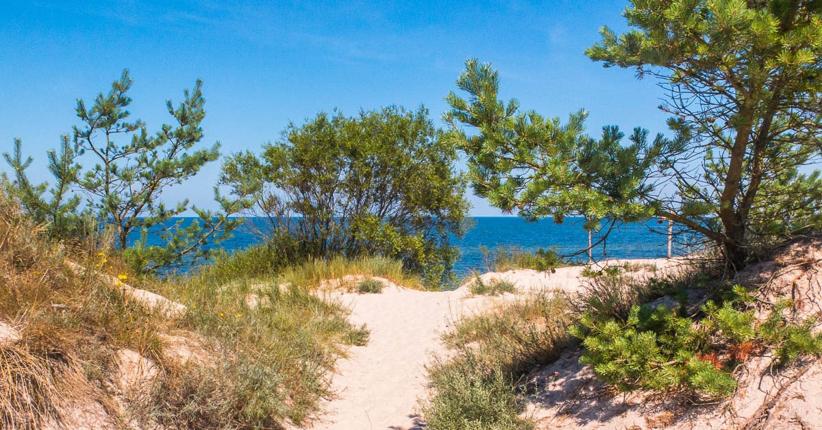 Blick auf die Ostsee und einer feiner Sandstrand mit Bewuchs